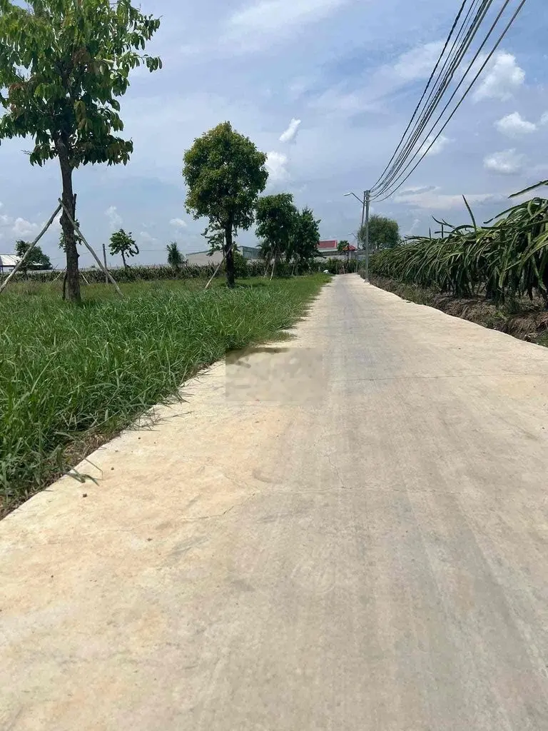 bán đất lúa đường ô tô