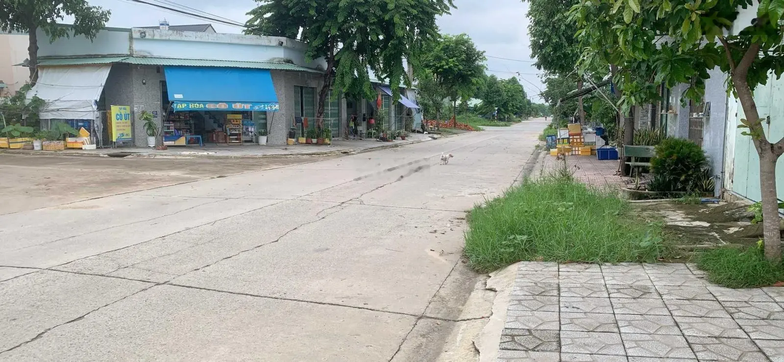 Tôi chính chủ, tuổi già sức yếu, nên bán gấp lô đất Mỹ Phước