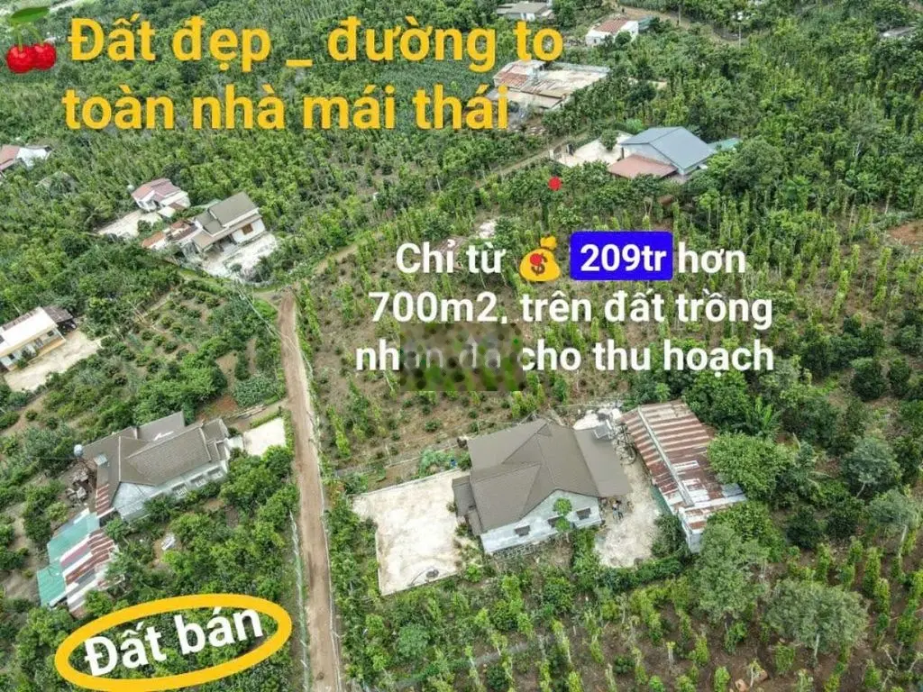 Bán đất Ea Bhok-Cưkuin hơn 700m2 full hồng đường thông 2 ô to né nhau