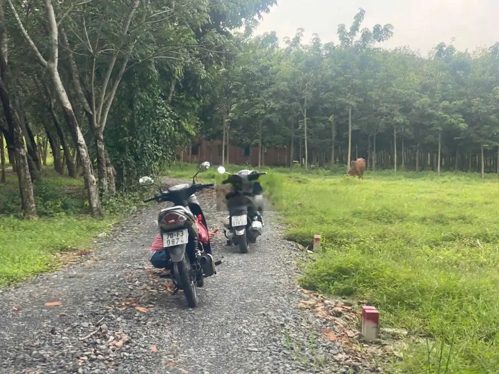 Cần bán lô đất siêu rẻ sổ hồng riêng, ngay TP Tây Ninh