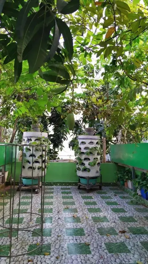 Chỉ nhỉnh 10 tỷ có nhà phân lô ngõ oto tránh ra Hoàng Đạo Thành, Thanh Xuân, 52m2 x 4T