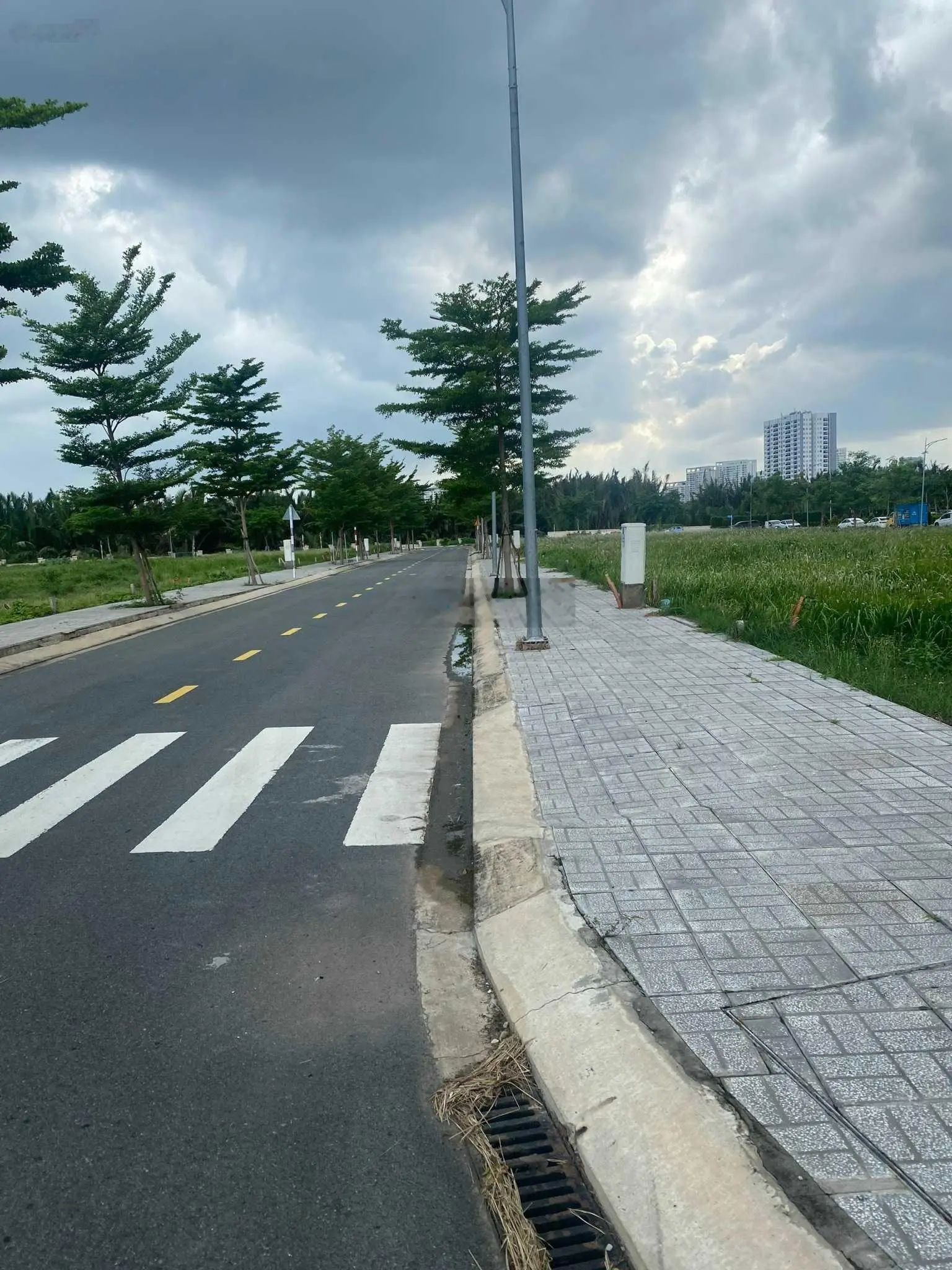 Chính chủ bán lô đất 90m2 đường Đào Trí, phường Phú Thuận Quận 7. Sổ riêng, XDTD