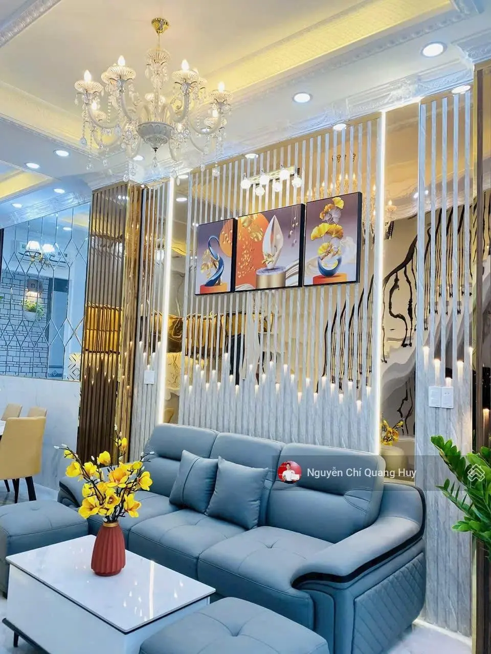 Nhà Phố KDC cao tầng đồng bộ đường rộng 8m Đào Tông Nguyên 4mx12,5m - Có gara xe - Giá 6,9 tỷ