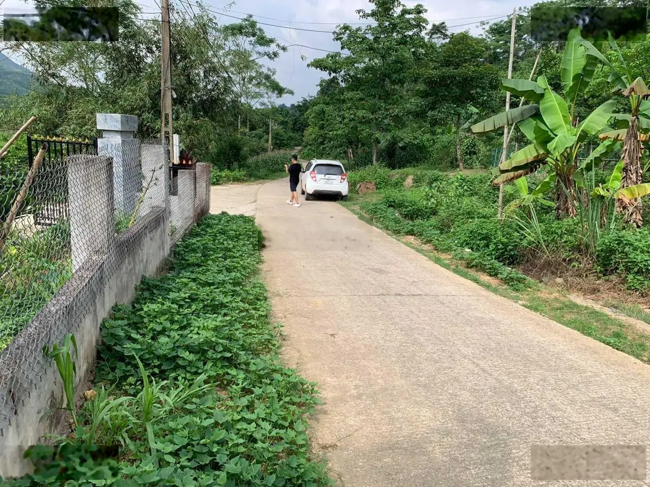 Do khoong sử dụng đến gia đình em cần bán 4300m2 đất thị trấn Đà Bắc với giá rẻ