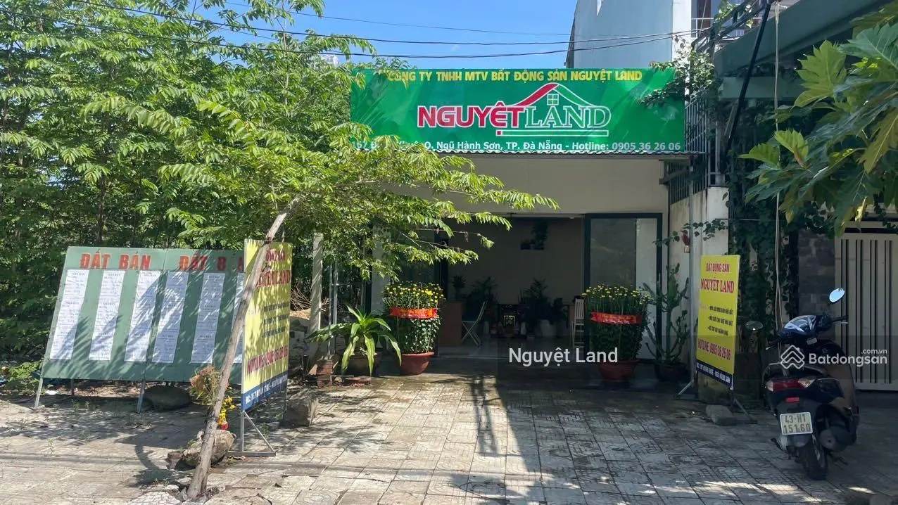 Danh sách BĐS khu đô thị Nam Việt Á mới nhất: Tùng Thiện Vương, Trịnh Lỗi, Đa Phước 2, Nước Mặn 5