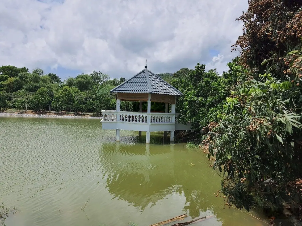 Chuyển nhượng 20.118m2 (hơn 2ha) đất thổ cư giá rẻ phù hợp xây nghỉ dưỡng homestay tại Lương Sơn