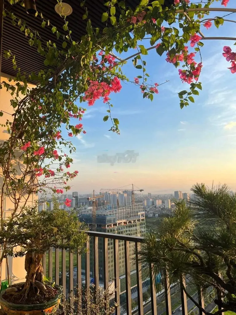 Bán căn Penthouse tại tòa nhà N01 T1 Ngoại Giao Đoàn, Bắc Từ Liêm.