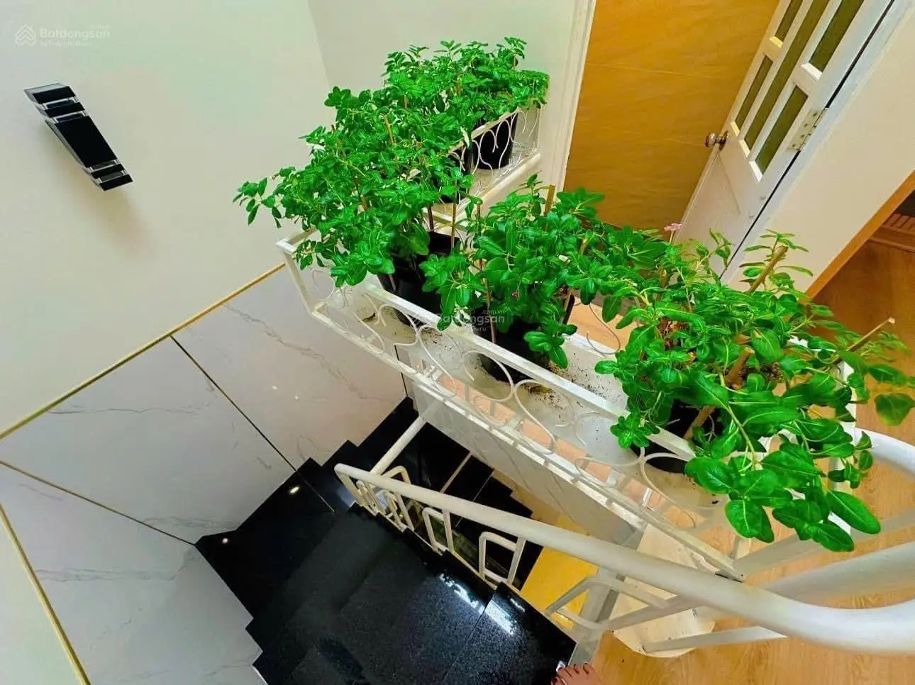 Căn nhà mơ ước tại khu bàn cờ - Trung tâm TP biển Nha Trang xinh đẹp