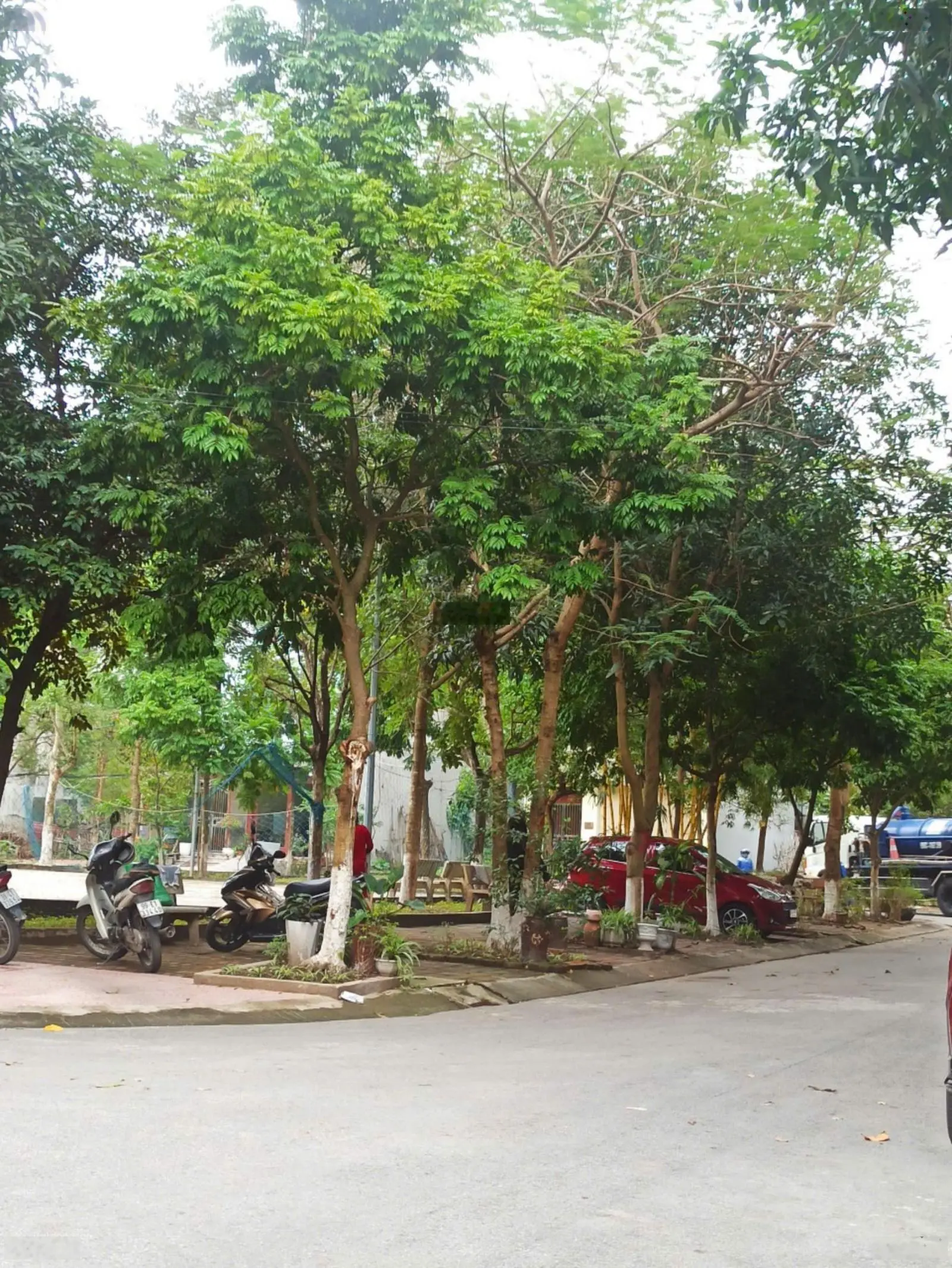 Chính chủ bán lô đất đường Lê Trọng Tấn, yna, Kinh Bắc, TP Bắc Ninh 92,7m2 6,x tỷ chếch Vườn hoa