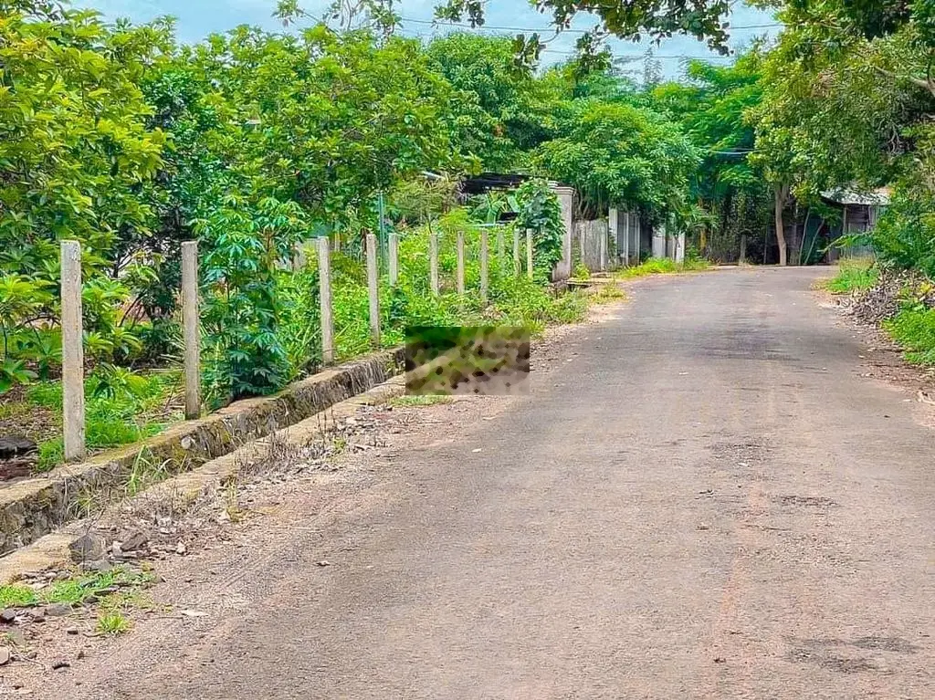 Chỉ hơn 3 tỷ sở hữu 7000m2 vườn cây ăn trái mặt tiền xe hơi tuyệt đẹp