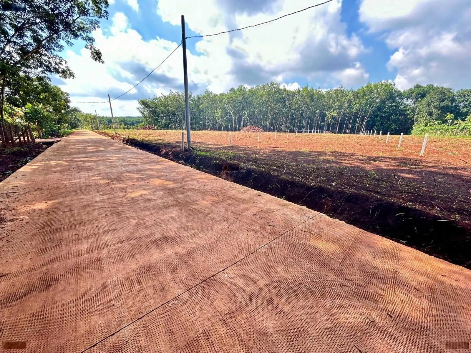 Nhà bán lô đất (30x65=2.000m2) tách 2 sổ, SHR, 330triệu/sổ, sát dân, gần chợ, trường học