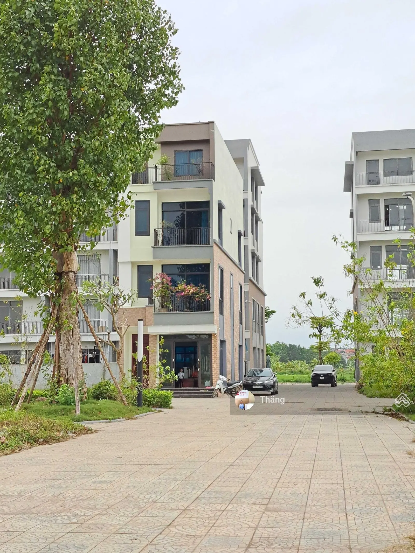 mở bán quỹ căn lk và đất nền kdt tms phúc yên ,t9-2024 lh 0968 781 *** xem và cọc
