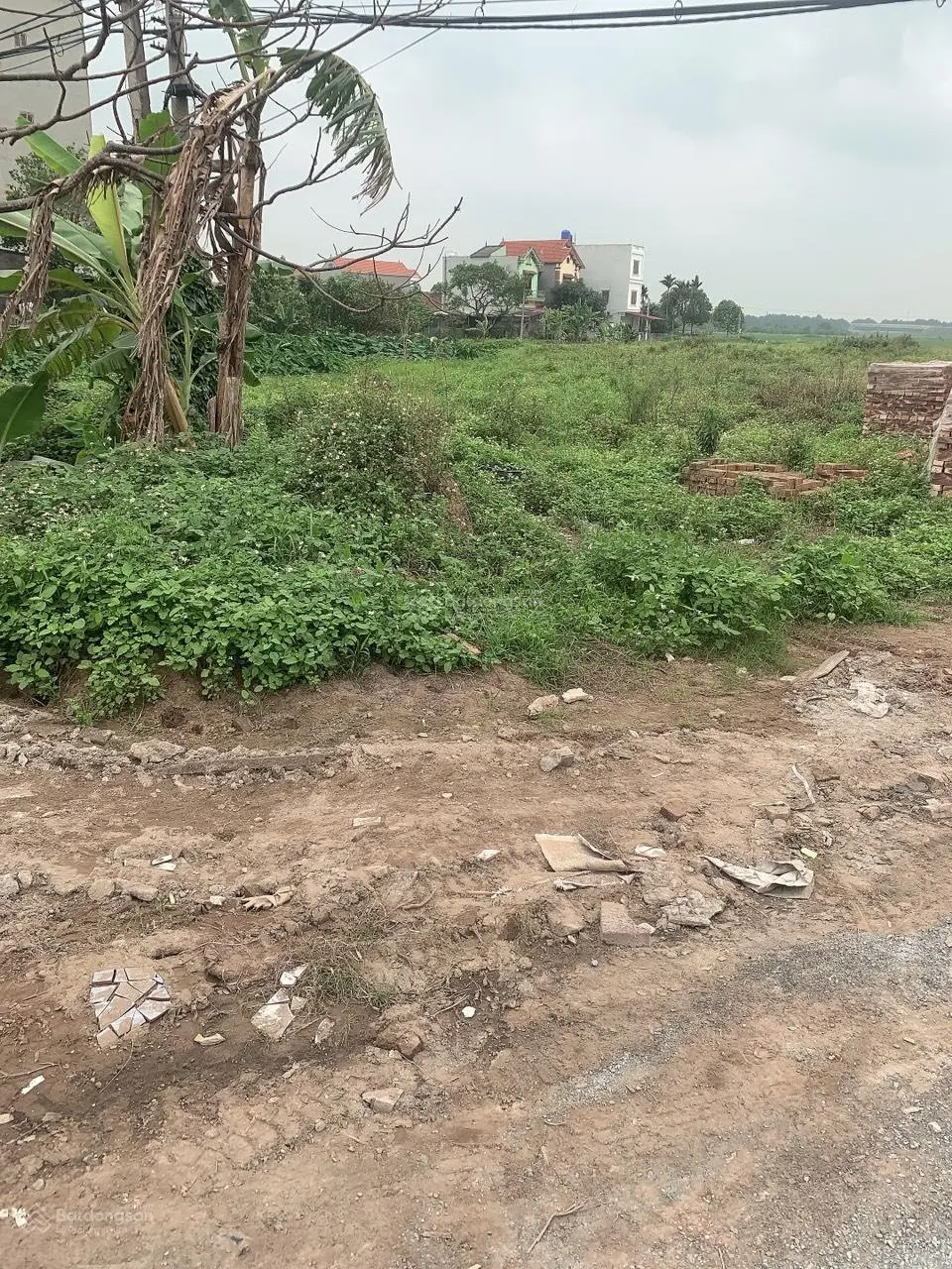 Chuyển nhượng gấp dự án Hưng Yên - Huyện Ân Thi- Hưng Yên