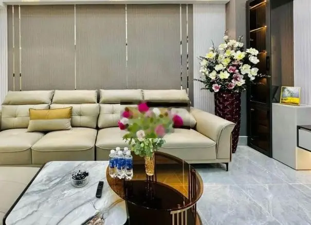 Siêu Phẩm mới nhất 3 lầu đẹp rẻ LÊ TRọng Tấn HCM