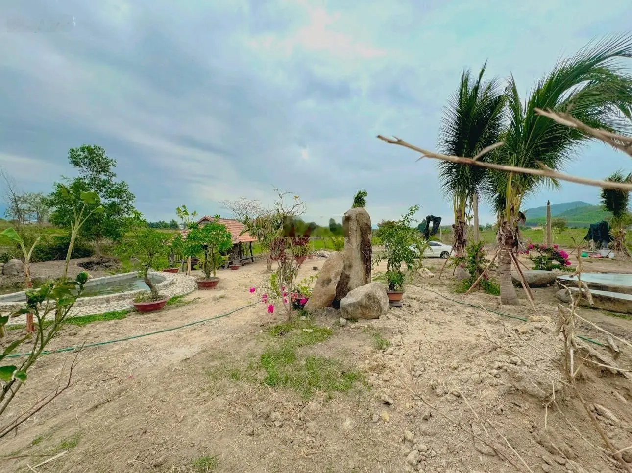 Chuyển nhượng nhanh Farm suối khoáng nóng tại Ninh Tây, Ninh Hòa. QH full thổ, giá bao sang tên