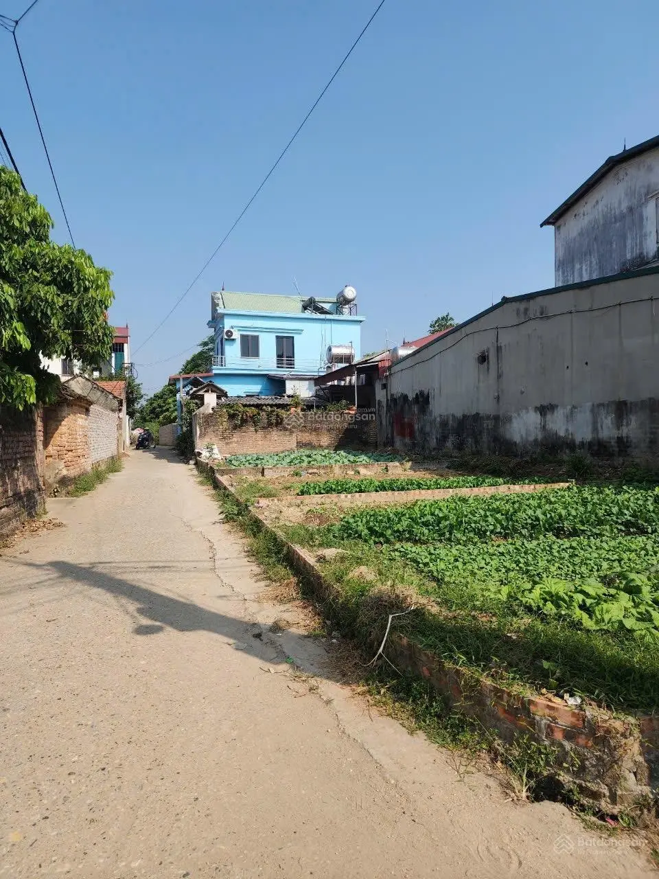 Siêu phẩm rẻ nhất Hiền Ninh Giá chỉ hơn tỉ tí teo mà sở hữu lô đất trục kinh doanh nhỏ lẻ Diện tíc