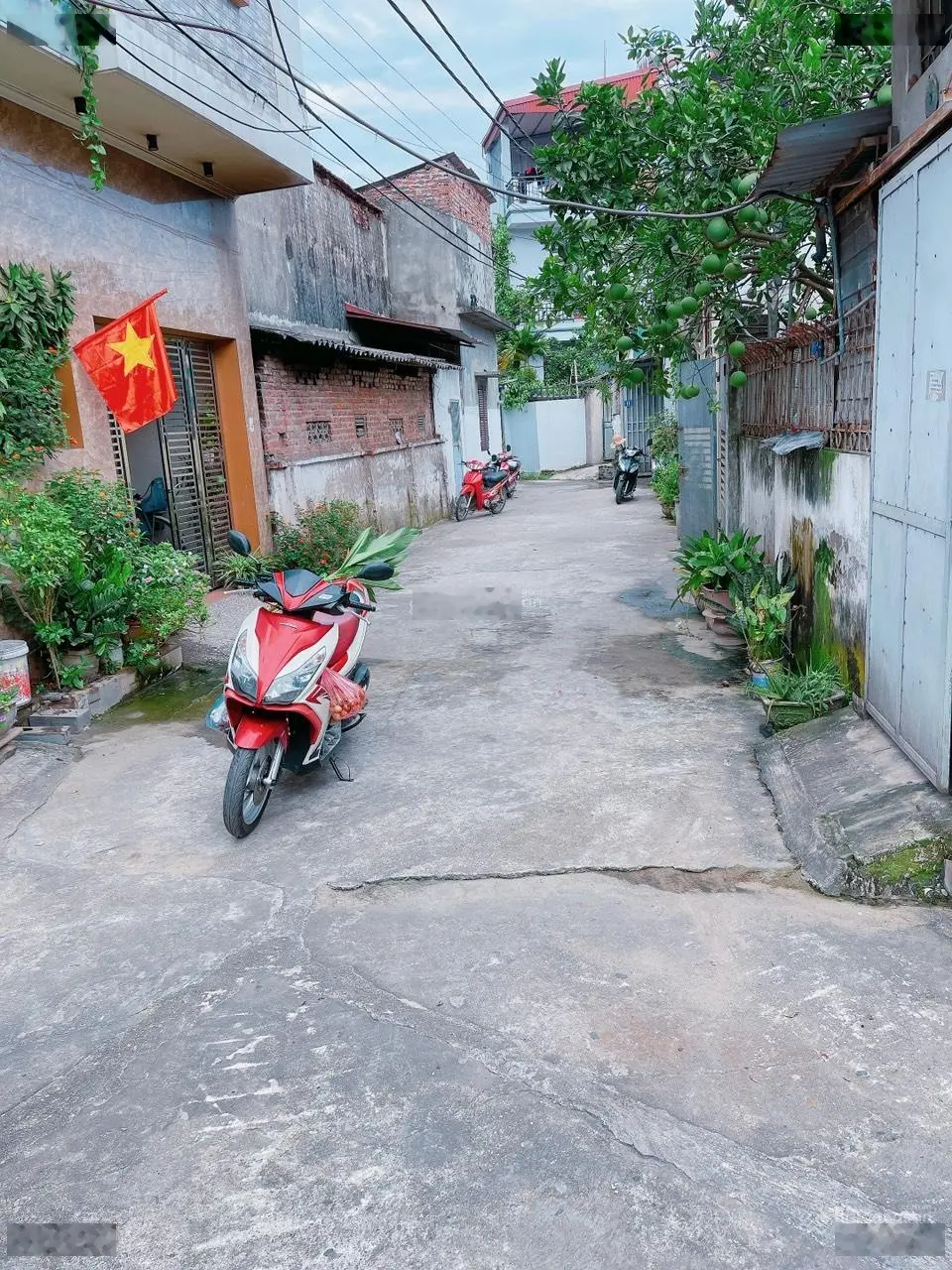 Bán đất Đại Phùng Đan Phượng Vị trí trung tâm gần trường, chợ, Oto ra vào thoải mái 46.6m2
