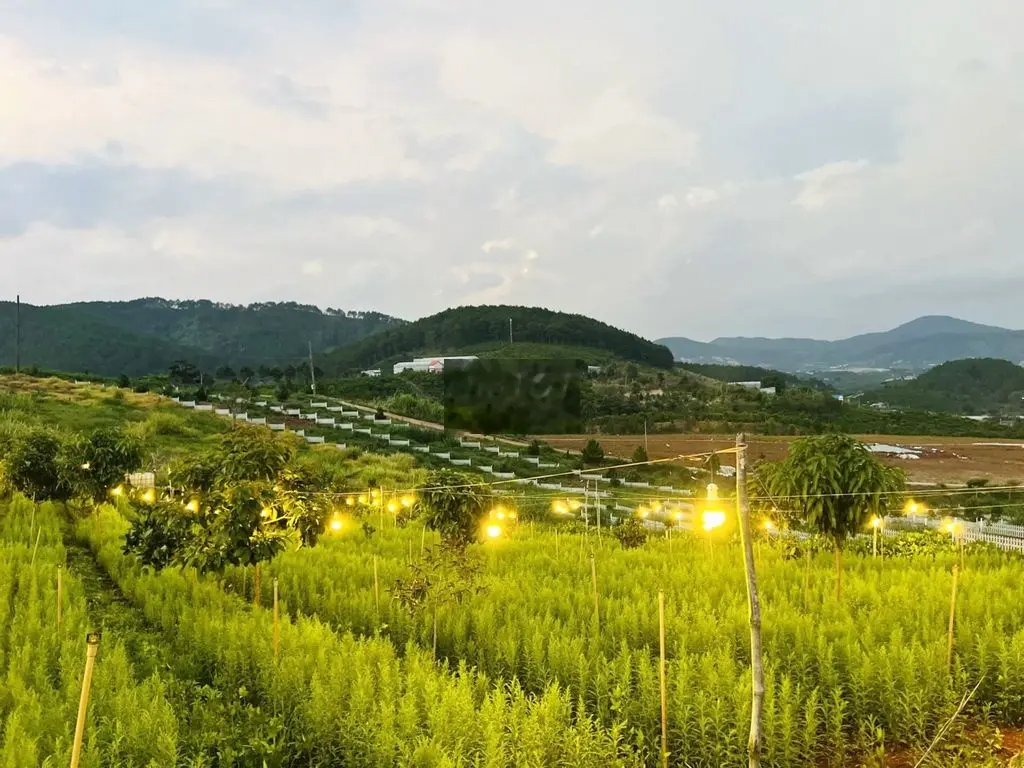 500 triệu sở hữu ngay Đất Thổ Cư Sổ Riêng Mặt Tiền Betong TP Đà Lạt 2