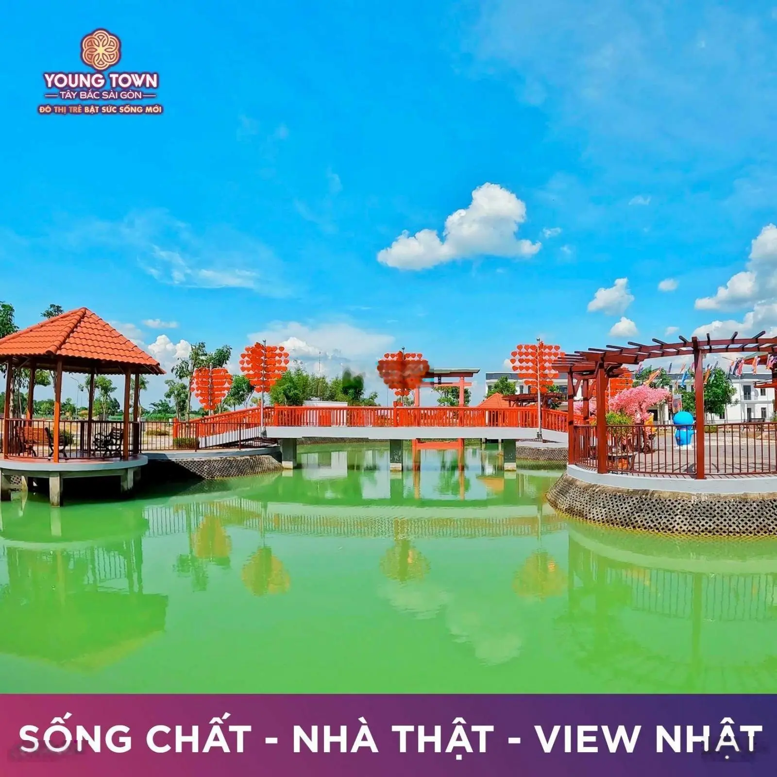 Thanh lý lô Đất nền khu đô thị Young Town Đức Hoà, 750tr/80m2 liền kề KĐT vingroup hậu nghĩa