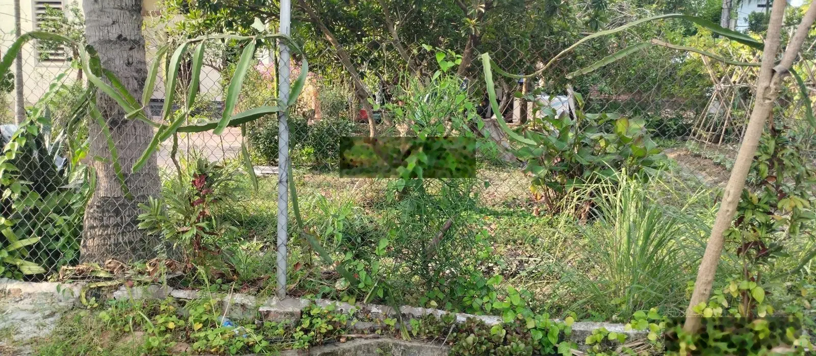 Bán đất thị trấn Đông Anh, ô tô đỗ cửa, dân trí cao, an ninh đỉnh 55m2 - nhỉnh 3 tỷ