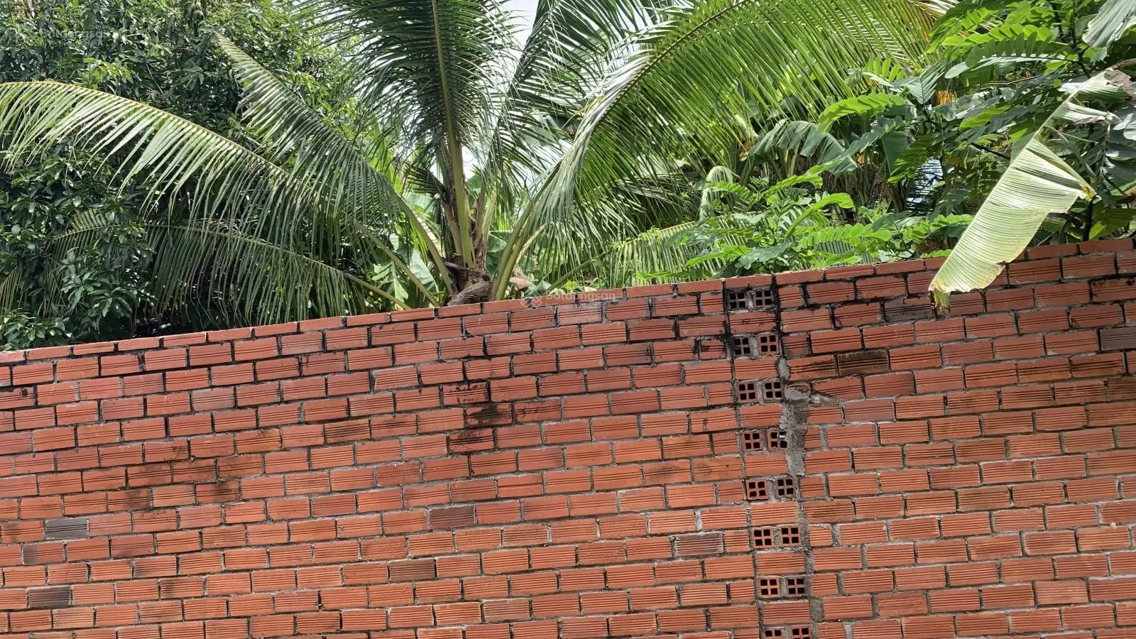 Bán đất 522m2, tại phường 1, thành Tây Ninh
