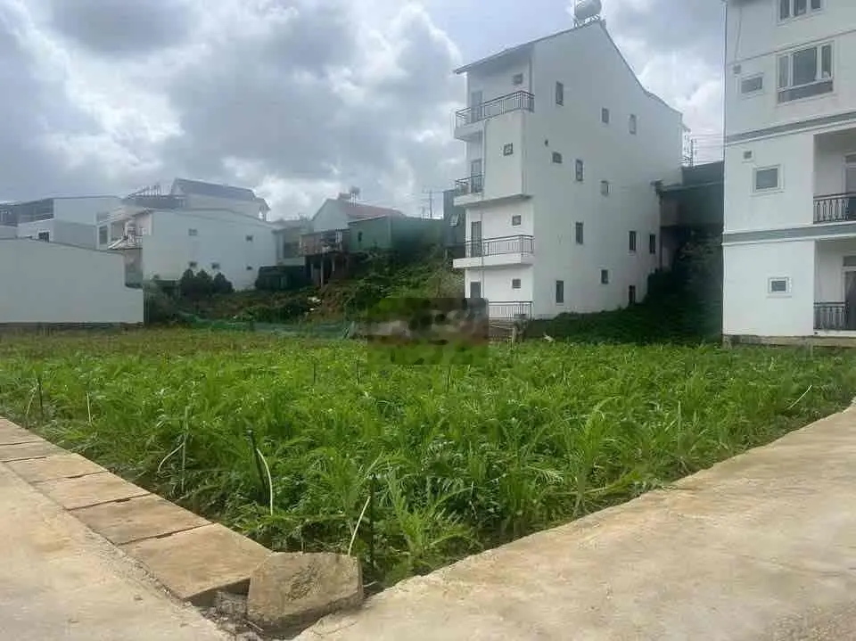 Lỗ nặng bán gấp miếng đất 500m2 quy hoạch khu biệt thự giá 250triệu