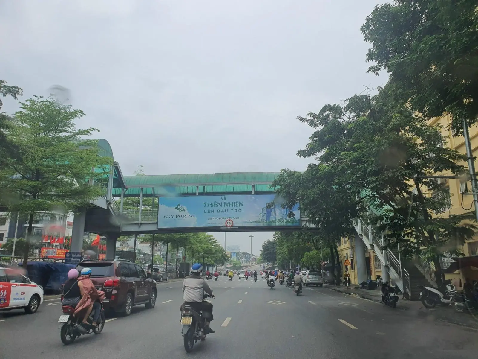 Bán nhanh lô đất biệt thự Đại Hoàng Long, Võ Cường, tp Bắc Ninh