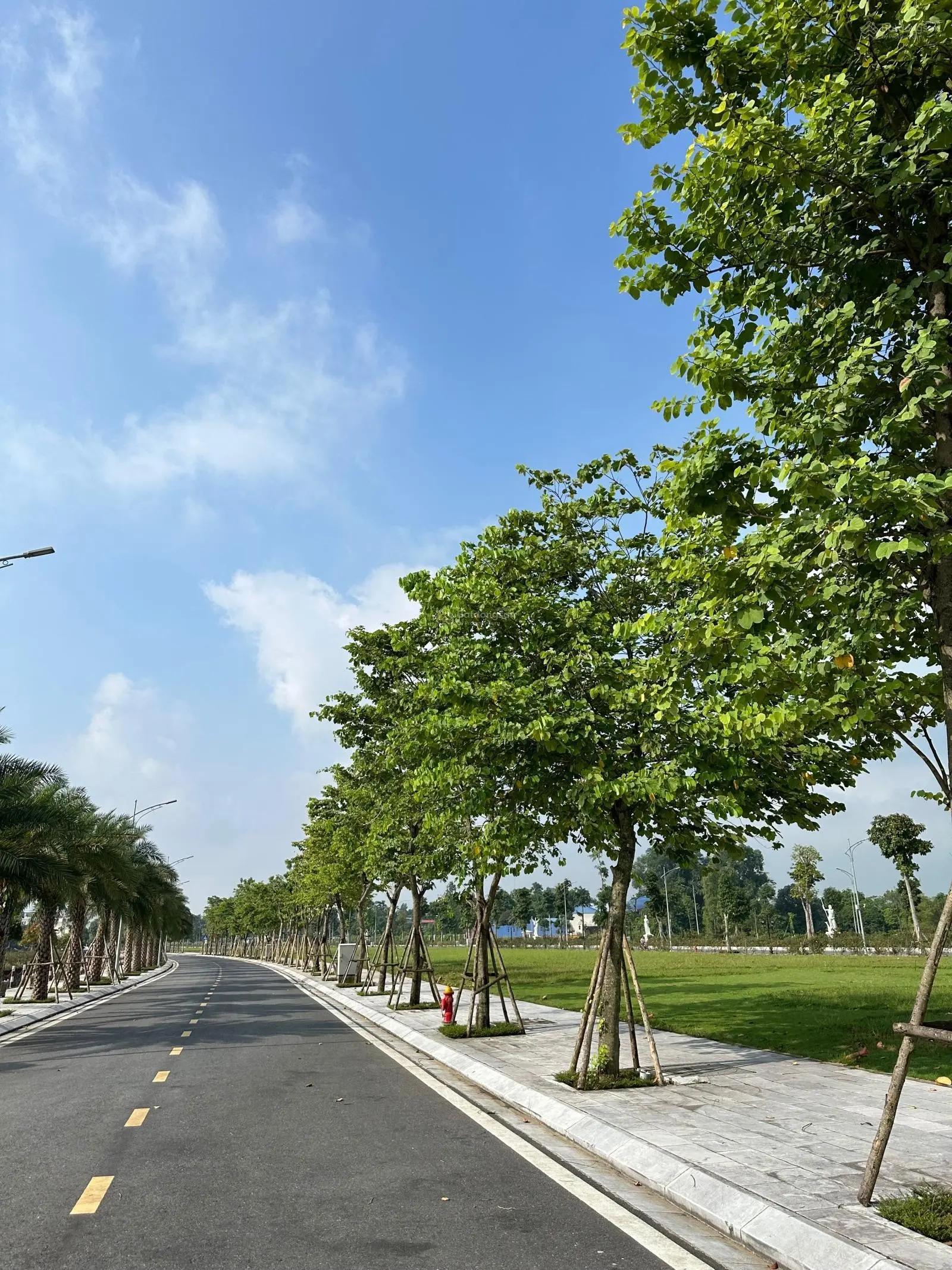 Chính chủ cần bán LK18 dãy hót nhất Danko quay mặt ra đảo vua