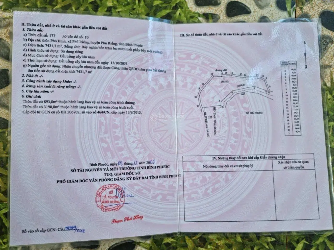 Bán đất cao su 11 năm tuổi, đang thu hoạch mủ, 3ha tại Phú Riềng, giá chỉ 4.7 tỷ