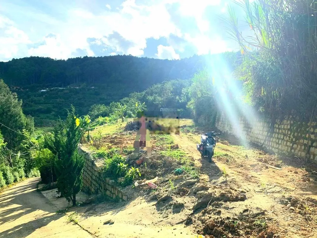 Bán gấp đất view đẹp đồi thông gần khu du lịch Hồ Tuyền Lâm Đà Lạt
