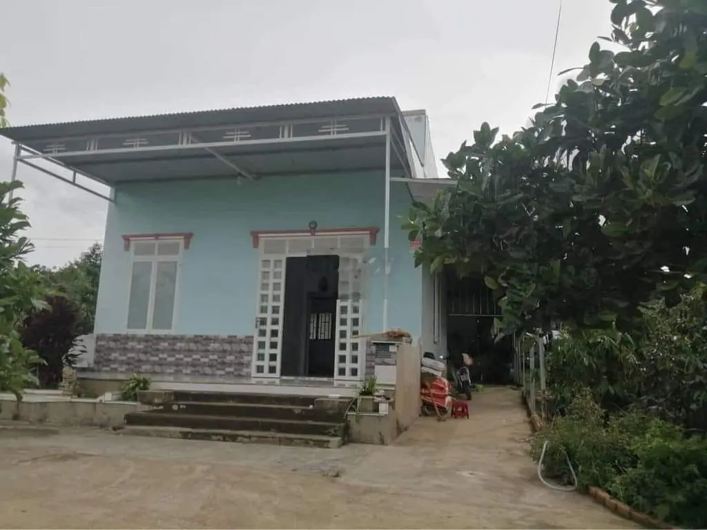 Bán 2,2xào Giá 500triệu có sẵn nhà cấp 4 và vườn cây ăn trái trên đất