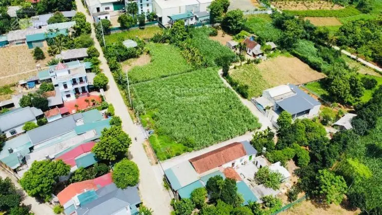 Vân Hòa, Ba Vì, HN. Cách thủ đô 45 phút chạy xe. Với DT 339m2 đã trừ hành lang