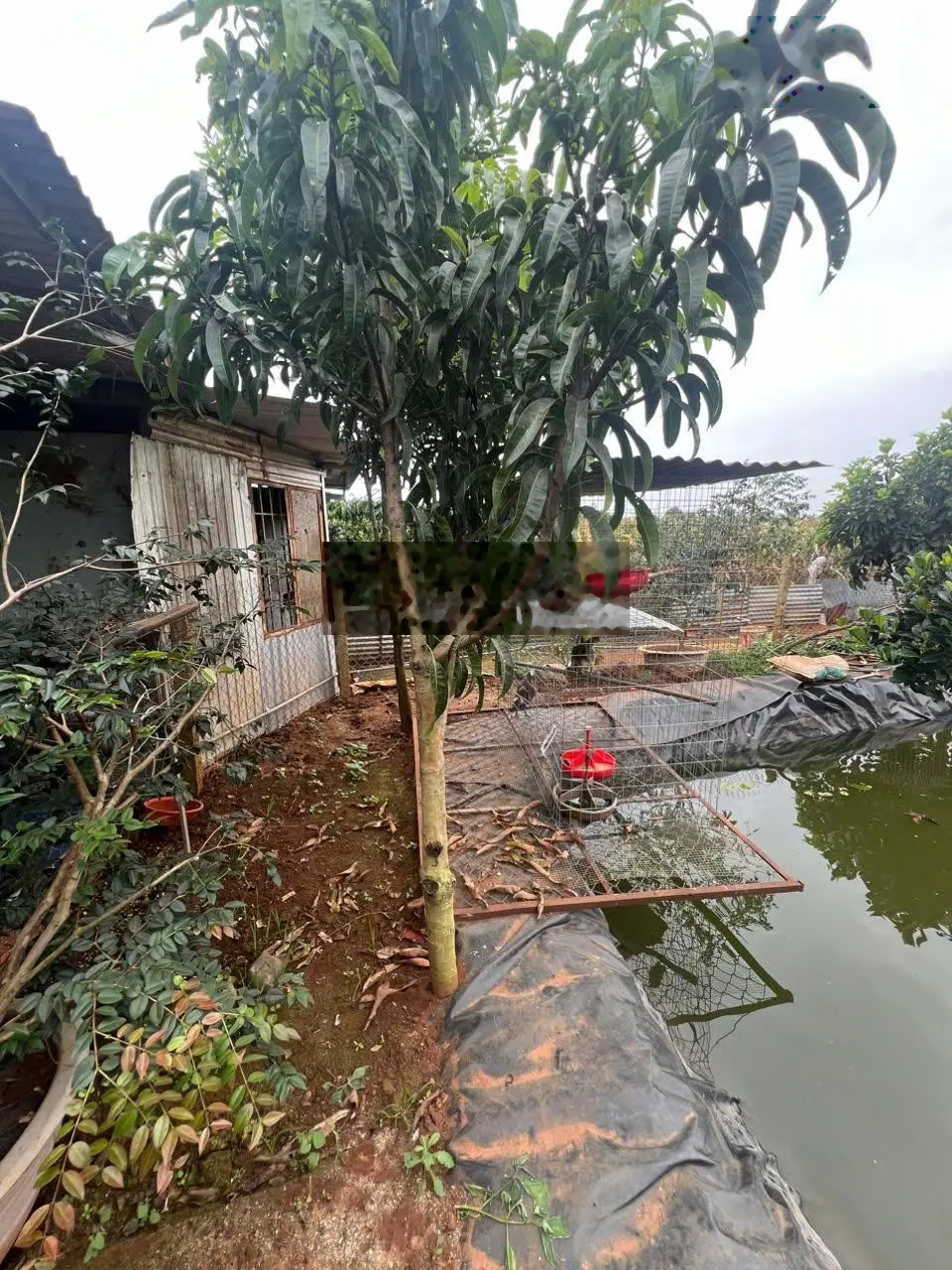 Bán căn nhà nghỉ dưỡng sân vườn 995m2 đầy đủ tiện nghi về sân bay Liên Khương chỉ 9km, chỉ 3,7 tỉ