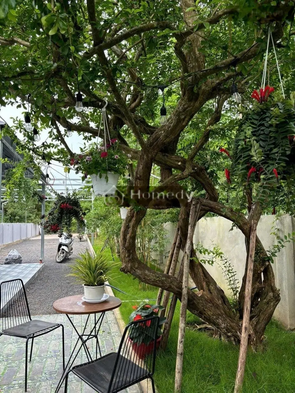 Nhà vườn 223m2, MT đường nhựa, SHR, Xã Tân Thông Hội, Giá 1 tỷ 150.
