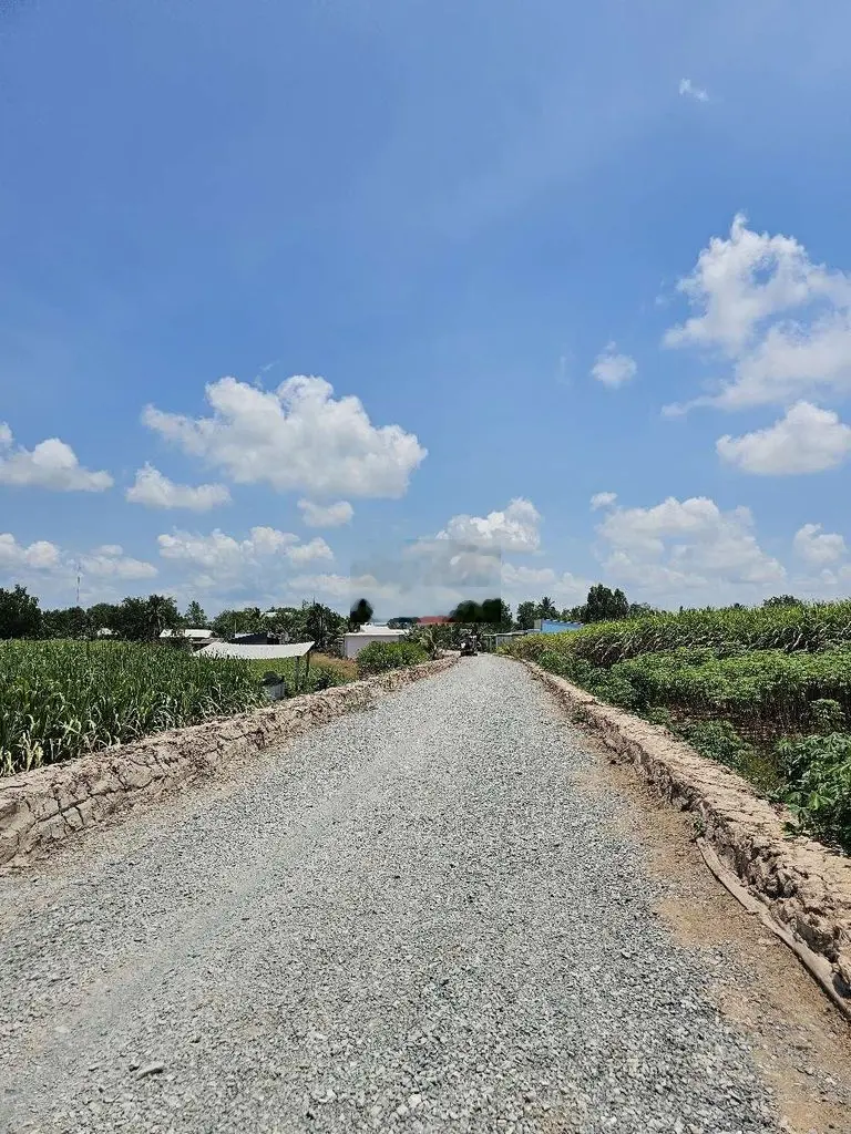 Bán đất thổ Vườn giáp thị trấn
