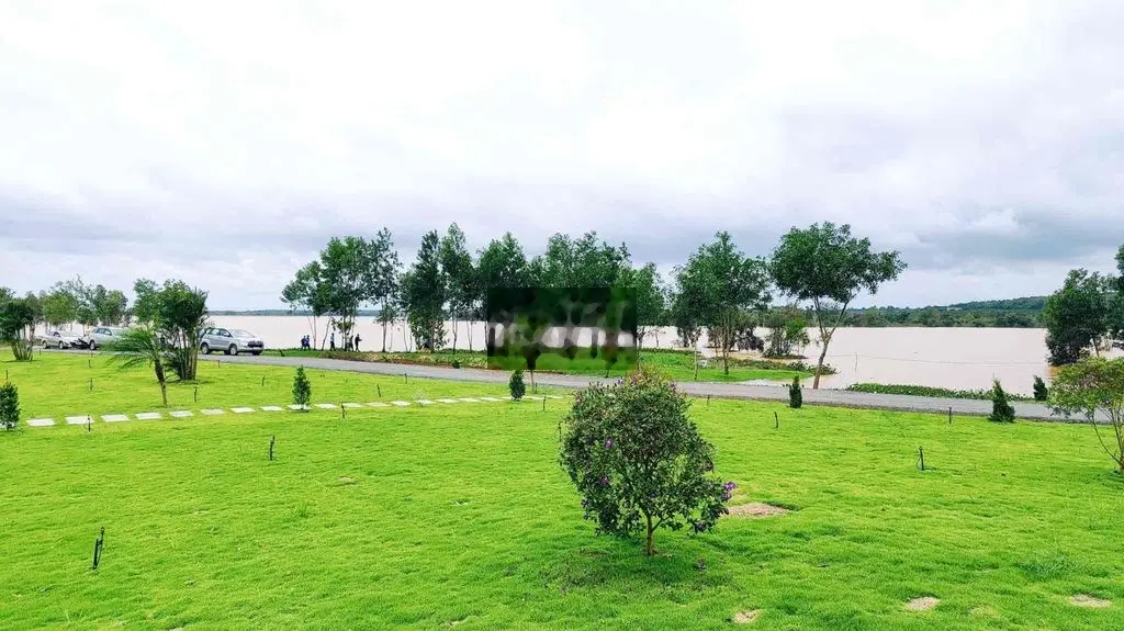 CHÍNH CHỦ RA