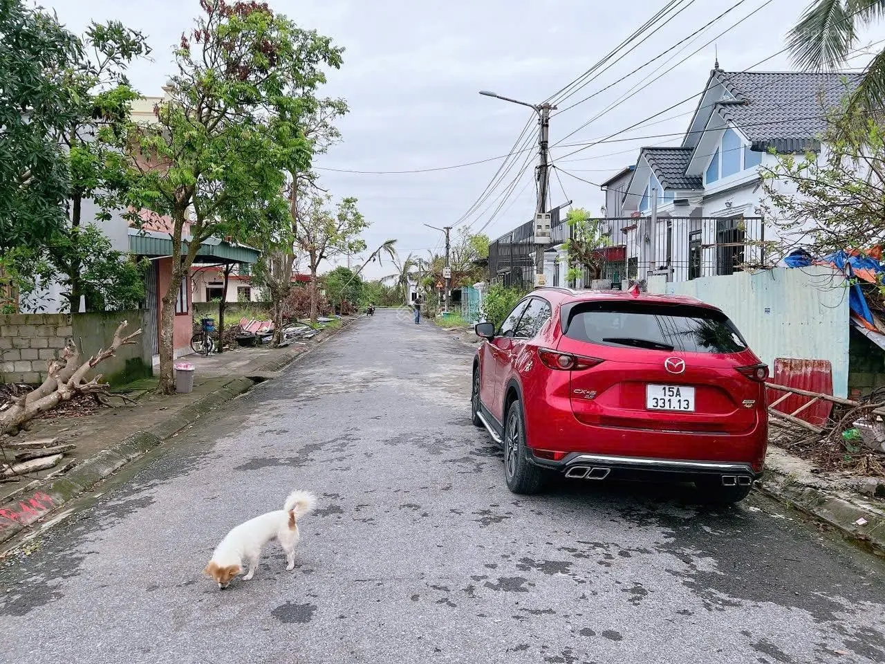 Bán lô đất ngõ 113 TÂN THÀNH, DƯƠNG KINH - Diện tích : 100m2 ( 5 x 20 ) Đường nhựa 10