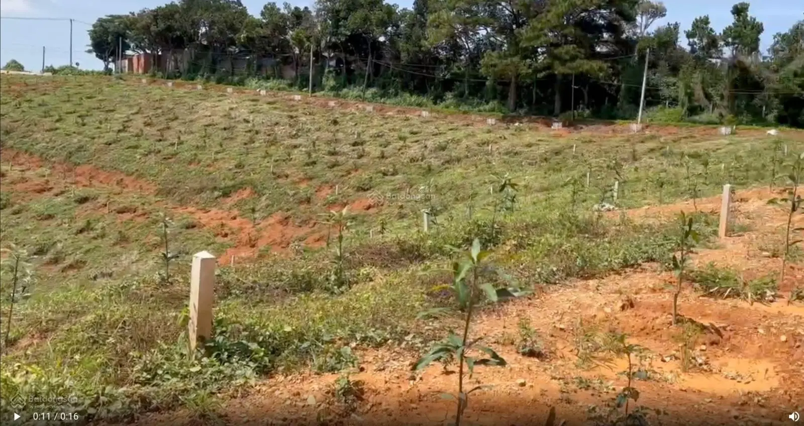 Bán đất Nam Hà, gần trục đường nhựa, 425m2 view đẹp