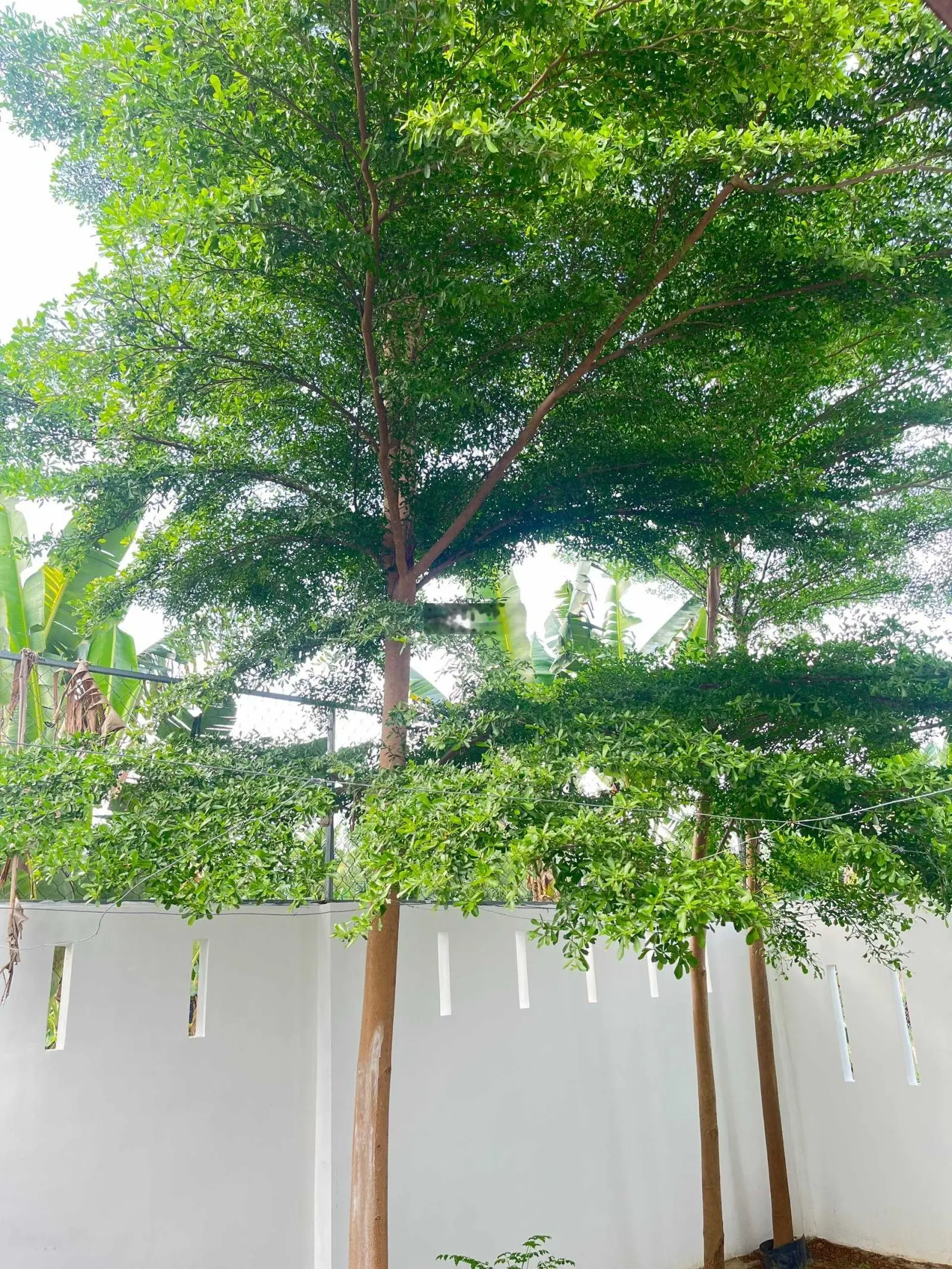 Cần bán gấp nhà 3 tầng mặt đường HL46 Vĩnh Trung - TP. Nha Trang ngang hơn 8m (giá tốt)