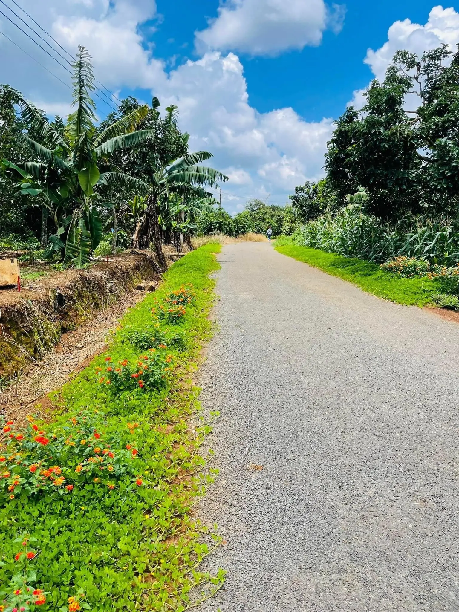 CHÍNH CHỦ CẦN BÁN GẤP MT CHÍNH ĐỨC GIANG