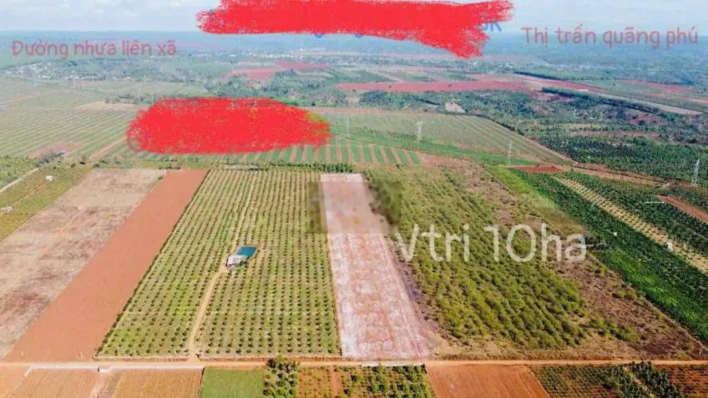 Bán 10 ha đất màu mỡ tại Cưmgar- Đắk Lắk 220tr/ sào