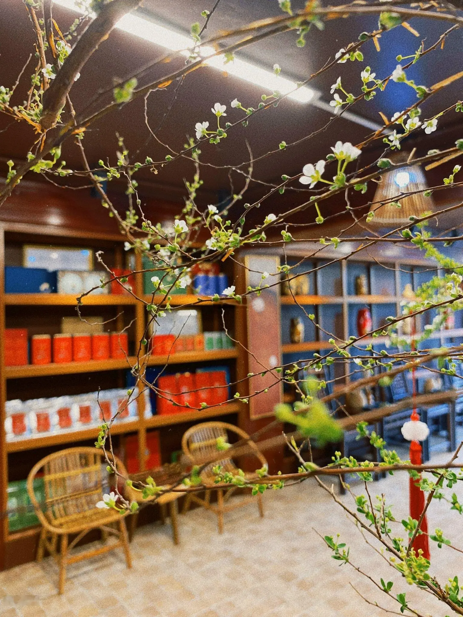 Bán nhà 175.5m2, 6 tầng thang máy vỉa hè 8m 39,5 tỷ