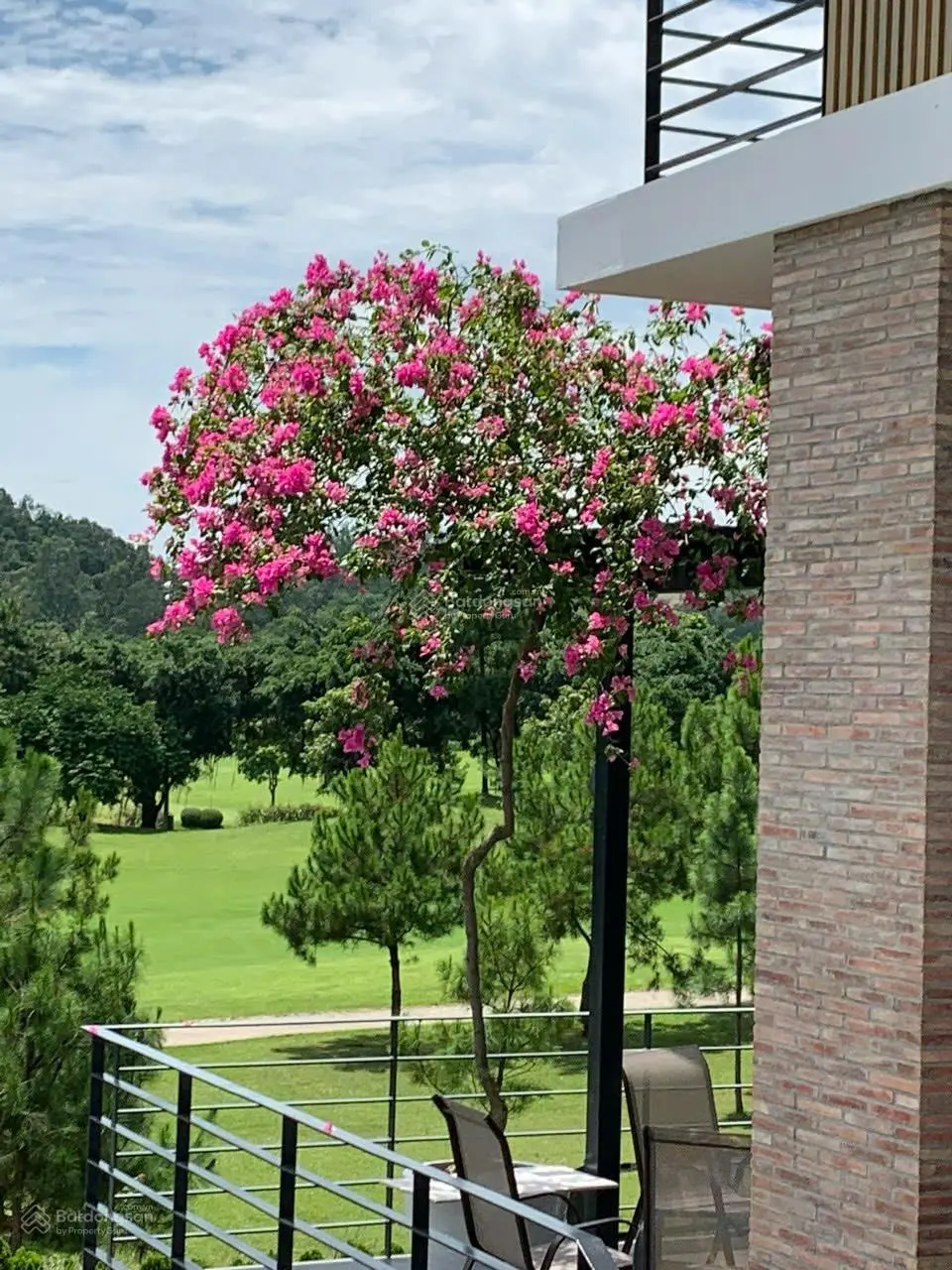 Bán căn villa 1100m trong sân golf Tam Đảo,