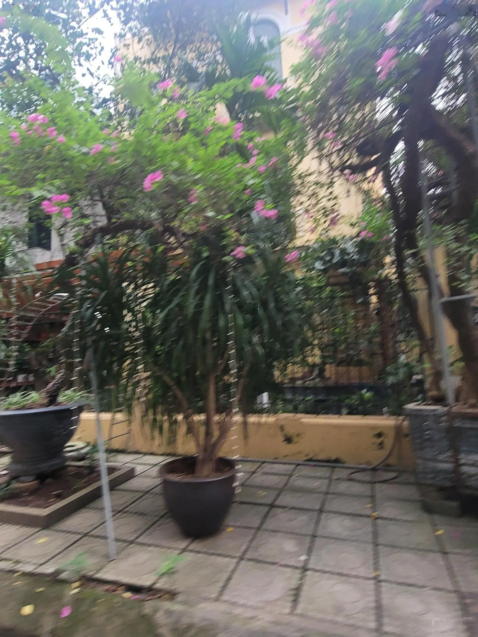 Thang máy, hầm xe, phân lô Phố Trung Hòa, mặt tiền rộng 10.4m, vỉa hè, nội thất đẹp, quận Cầu Giấy
