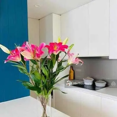 (Bán gấp) Căn hộ 2PN Đảo Kim Cương chỉ 7,3 tỷ (giá all in) 3 mặt giáp sông, liền kề Quận 1