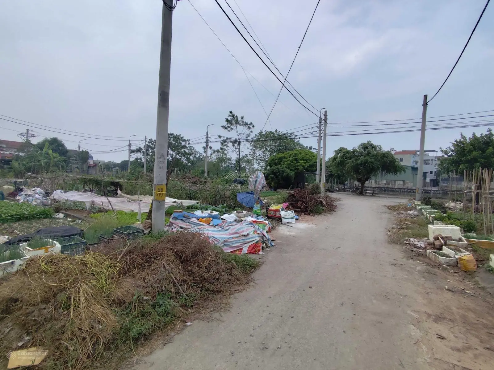 Bán 54m MT gần 4m đất đấu giá X1 xã Lại Yên. Đường oto thông, gần Hồ thoáng mát. Sổ đỏ chính chủ.
