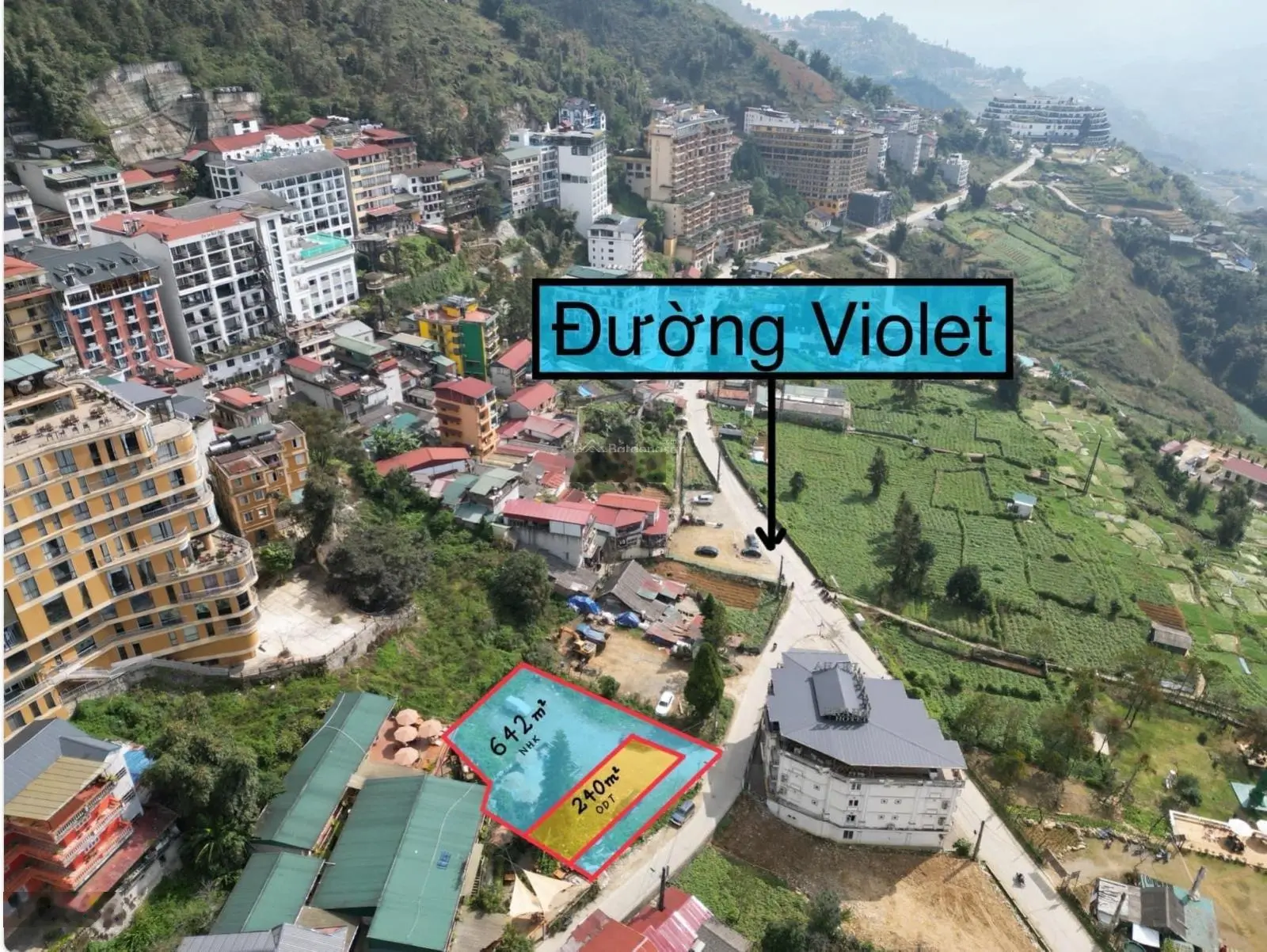 Cần bán đất giá 29 tỷ VND tại Đường Violet, Sa Pa, Lào Cai với diện tích lớn