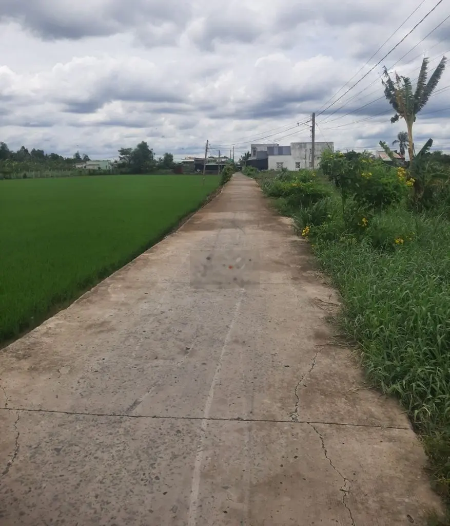 💎 Bán Đất (15.5 x 28m) xây nhà vườn hết sảy, view sông cách QL50 200m