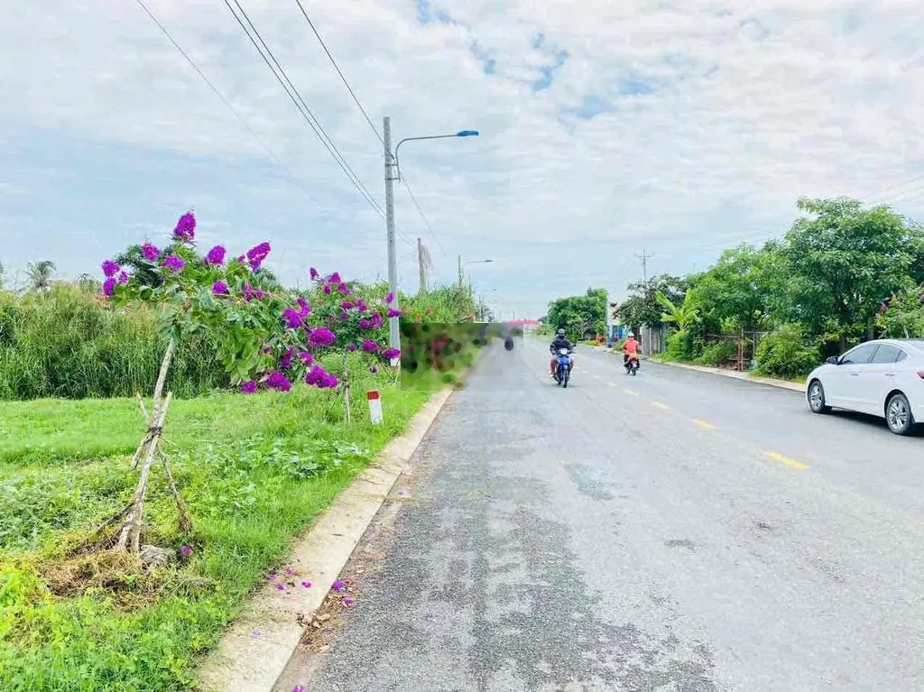 MT nhựa TL833 đất ODT đoạn thị trấn Tân Trụ. 5x35m - 175m2 Giá: 1,65ty