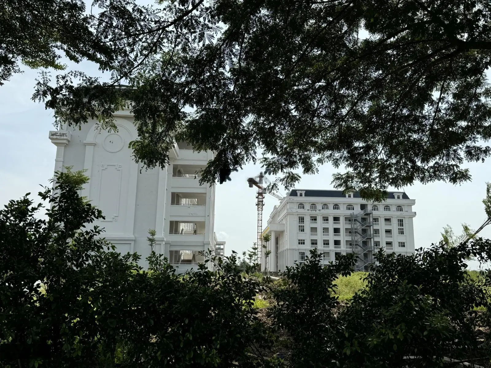 Bán đất dự án khu dân cư Nhơn Đức Vạn Phát Hưng Nhà Bè